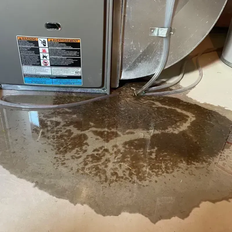 Appliance Leak Cleanup in Mount Vernon, IL